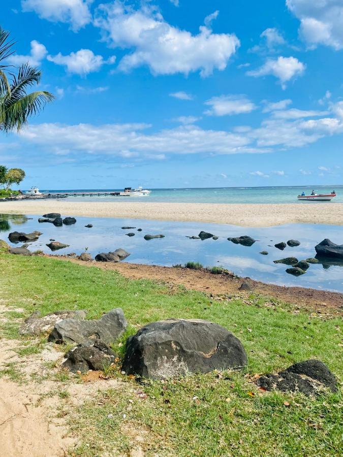 O Paradis Albion Grande Piscine Et Plage A Deux Pas 외부 사진